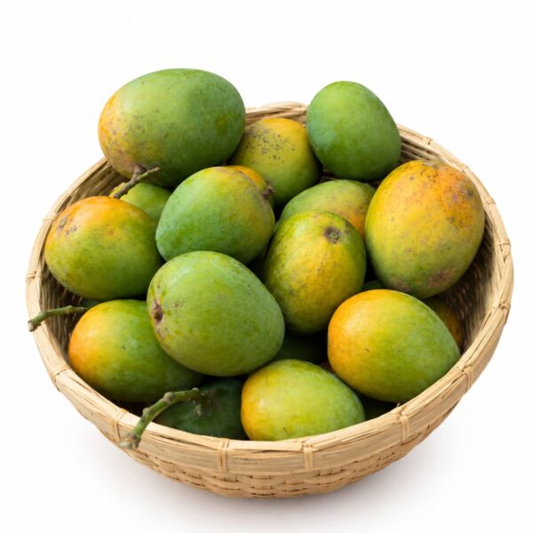 Himsagor