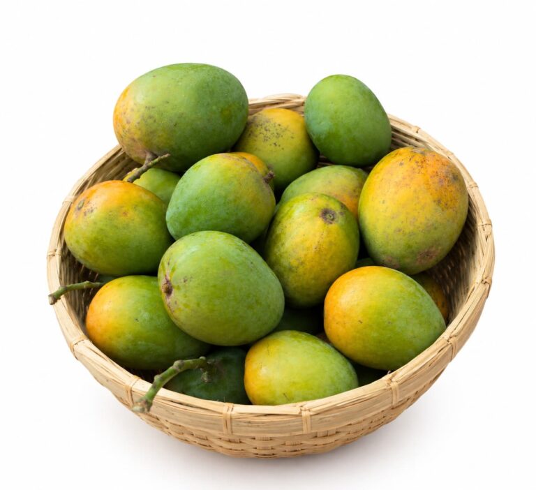 Himsagor