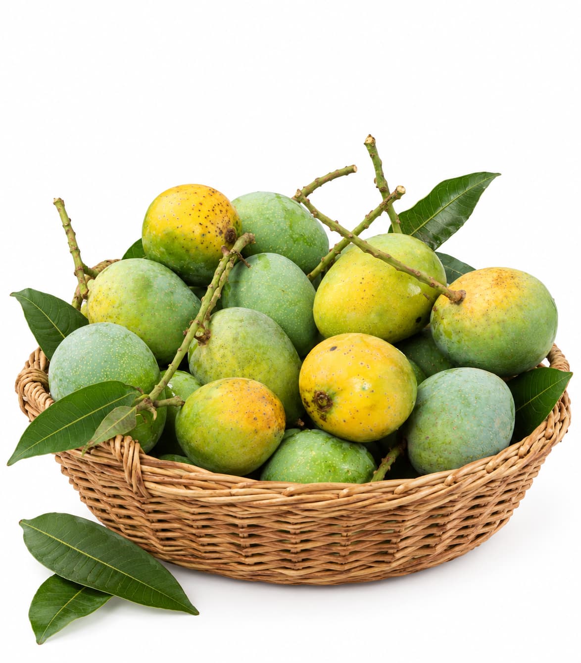 Gopalbhog Mango Gopalbhog Mango